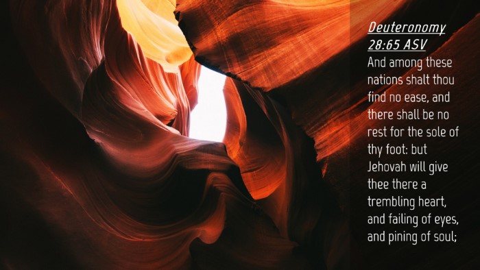 Picture 04 - Deuteronomy 28:65 ASV Desktop Wallpaper - And among these nations shalt thou find no ease, - Desktop Bible Verse Wallpaper