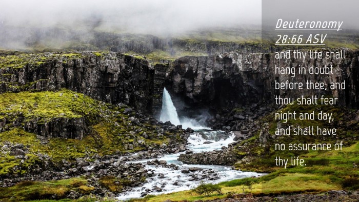 Picture 04 - Deuteronomy 28:66 ASV Desktop Wallpaper - and thy life shall hang in doubt before thee; and - Desktop Bible Verse Wallpaper