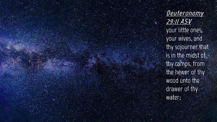 Picture 04 - Deuteronomy 29:11 ASV Desktop Wallpaper - your little ones, your wives, and thy sojourner - Desktop Bible Verse Wallpaper