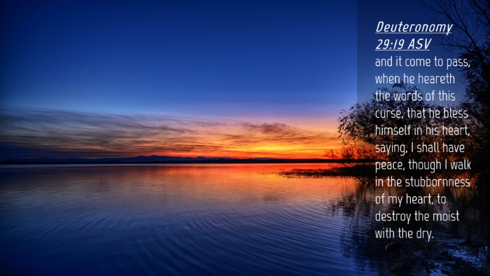 Picture 04 - Deuteronomy 29:19 ASV Desktop Wallpaper - and it come to pass, when he heareth the words of - Desktop Bible Verse Wallpaper