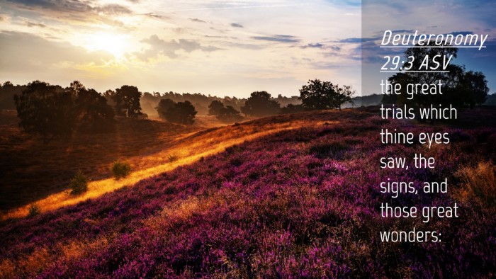 Picture 04 - Deuteronomy 29:3 ASV Desktop Wallpaper - the great trials which thine eyes saw, the signs, - Desktop Bible Verse Wallpaper