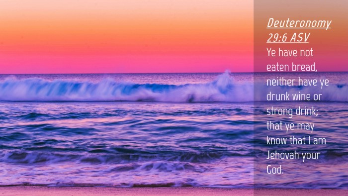 Picture 04 - Deuteronomy 29:6 ASV Desktop Wallpaper - Ye have not eaten bread, neither have ye drunk - Desktop Bible Verse Wallpaper