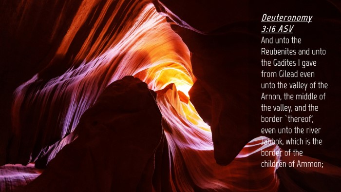Picture 04 - Deuteronomy 3:16 ASV Desktop Wallpaper - And unto the Reubenites and unto the Gadites I - Desktop Bible Verse Wallpaper