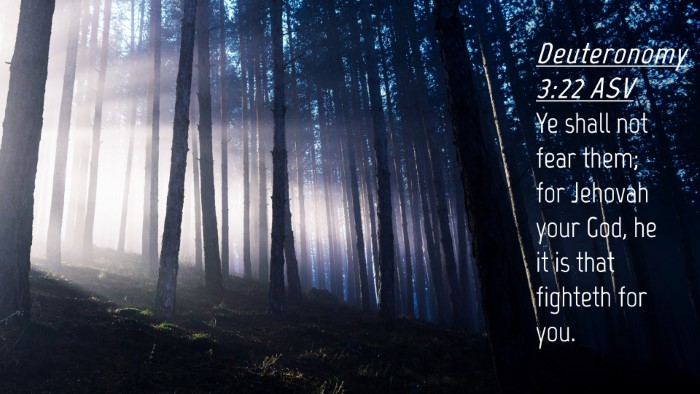 Picture 04 - Deuteronomy 3:22 ASV Desktop Wallpaper - Ye shall not fear them; for Jehovah your God, he - Desktop Bible Verse Wallpaper