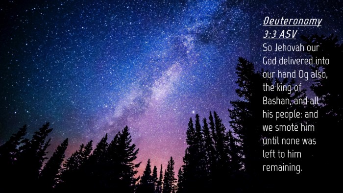 Picture 04 - Deuteronomy 3:3 ASV Desktop Wallpaper - So Jehovah our God delivered into our hand Og - Desktop Bible Verse Wallpaper