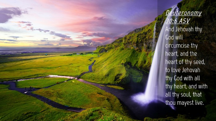 Picture 04 - Deuteronomy 30:6 ASV Desktop Wallpaper - And Jehovah thy God will circumcise thy heart, - Desktop Bible Verse Wallpaper