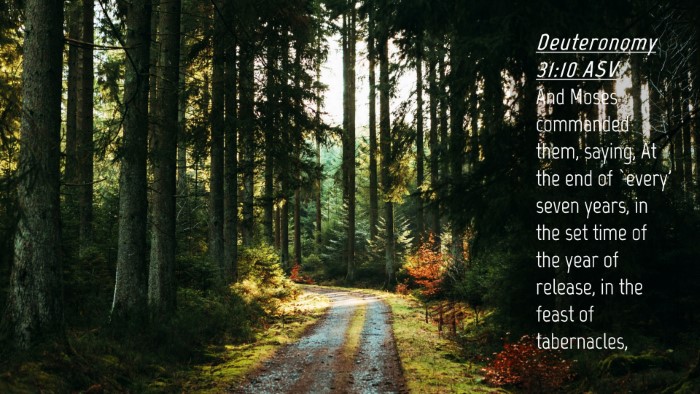 Picture 04 - Deuteronomy 31:10 ASV Desktop Wallpaper - And Moses commanded them, saying, At the end of - Desktop Bible Verse Wallpaper