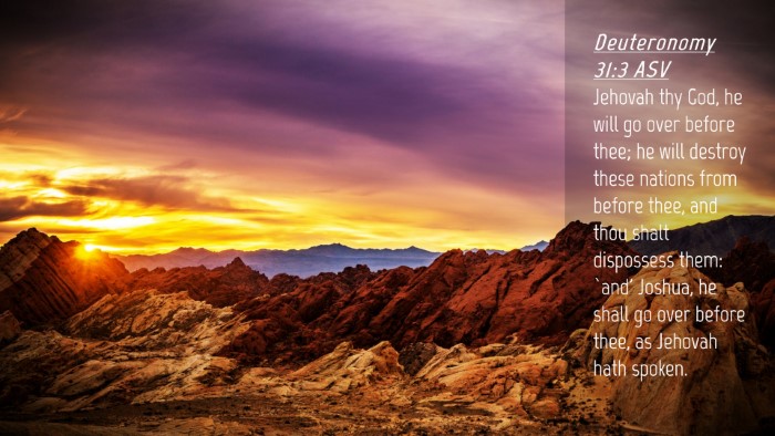 Picture 04 - Deuteronomy 31:3 ASV Desktop Wallpaper - Jehovah thy God, he will go over before thee; he - Desktop Bible Verse Wallpaper