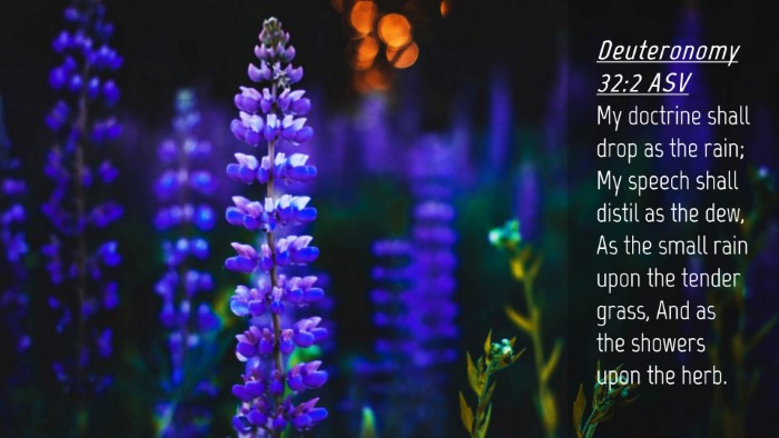 Picture 04 - Deuteronomy 32:2 ASV Desktop Wallpaper - My doctrine shall drop as the rain; My speech - Desktop Bible Verse Wallpaper