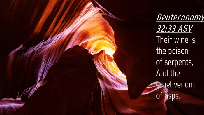 Picture 04 - Deuteronomy 32:33 ASV Desktop Wallpaper - Their wine is the poison of serpents, And the - Desktop Bible Verse Wallpaper