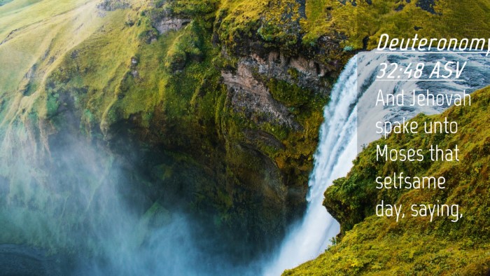 Picture 04 - Deuteronomy 32:48 ASV Desktop Wallpaper - And Jehovah spake unto Moses that selfsame day, - Desktop Bible Verse Wallpaper