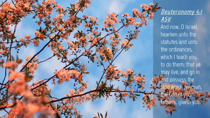 Picture 04 - Deuteronomy 4:1 ASV Desktop Wallpaper - And now, O Israel, hearken unto the statutes and - Desktop Bible Verse Wallpaper