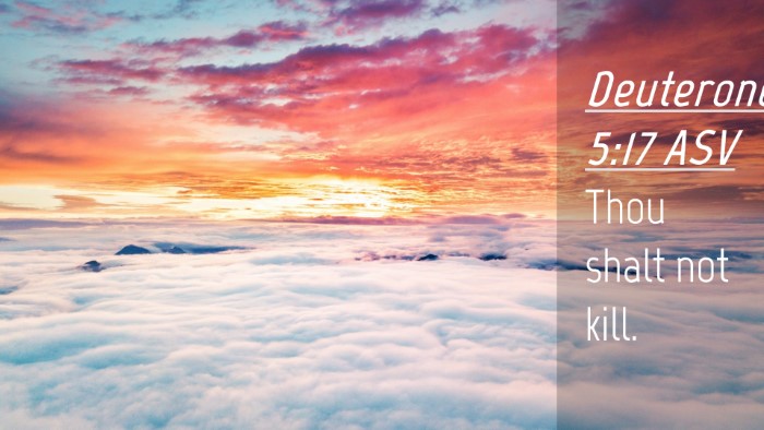 Picture 04 - Deuteronomy 5:17 ASV Desktop Wallpaper - Thou shalt not - Desktop Bible Verse Wallpaper