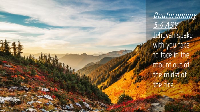 Picture 04 - Deuteronomy 5:4 ASV Desktop Wallpaper - Jehovah spake with you face to face in the mount - Desktop Bible Verse Wallpaper