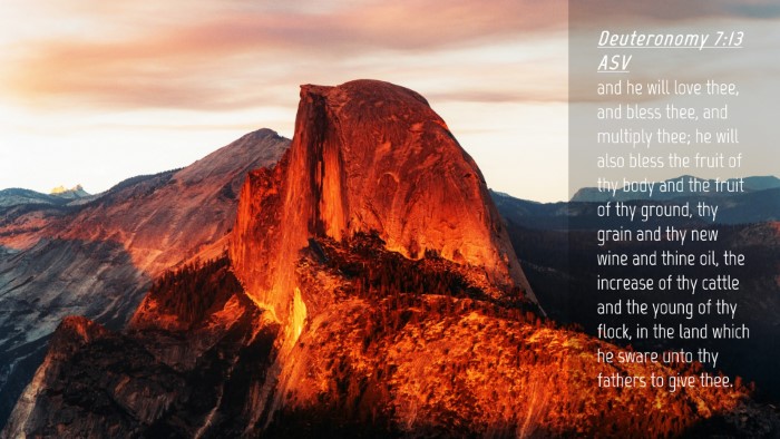 Picture 04 - Deuteronomy 7:13 ASV Desktop Wallpaper - and he will love thee, and bless thee, and - Desktop Bible Verse Wallpaper
