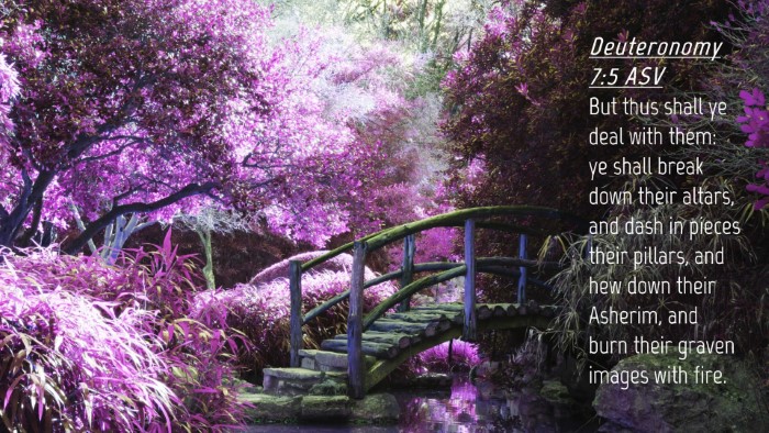 Picture 04 - Deuteronomy 7:5 ASV Desktop Wallpaper - But thus shall ye deal with them: ye shall break - Desktop Bible Verse Wallpaper