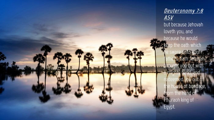 Picture 04 - Deuteronomy 7:8 ASV Desktop Wallpaper - but because Jehovah loveth you, and because he - Desktop Bible Verse Wallpaper