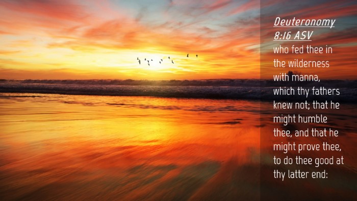 Picture 04 - Deuteronomy 8:16 ASV Desktop Wallpaper - who fed thee in the wilderness with manna, which - Desktop Bible Verse Wallpaper