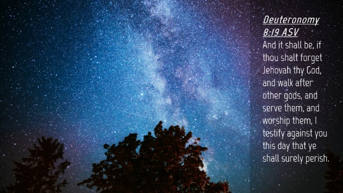 Picture 04 - Deuteronomy 8:19 ASV Desktop Wallpaper - And it shall be, if thou shalt forget Jehovah thy - Desktop Bible Verse Wallpaper