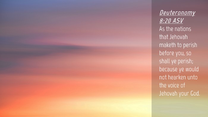 Picture 04 - Deuteronomy 8:20 ASV Desktop Wallpaper - As the nations that Jehovah maketh to perish - Desktop Bible Verse Wallpaper