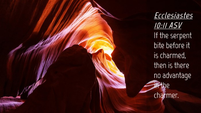 Picture 04 - Ecclesiastes 10:11 ASV Desktop Wallpaper - If the serpent bite before it is charmed, then is - Desktop Bible Verse Wallpaper