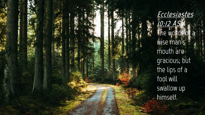Picture 04 - Ecclesiastes 10:12 ASV Desktop Wallpaper - The words of a wise man's mouth are gracious; but - Desktop Bible Verse Wallpaper