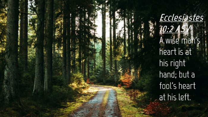 Picture 04 - Ecclesiastes 10:2 ASV Desktop Wallpaper - A wise man's heart is at his right hand; but a - Desktop Bible Verse Wallpaper