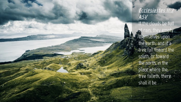 Picture 04 - Ecclesiastes 11:3 ASV Desktop Wallpaper - If the clouds be full of rain, they empty - Desktop Bible Verse Wallpaper