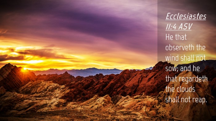 Picture 04 - Ecclesiastes 11:4 ASV Desktop Wallpaper - He that observeth the wind shall not sow; and he - Desktop Bible Verse Wallpaper