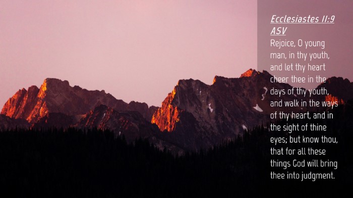 Picture 04 - Ecclesiastes 11:9 ASV Desktop Wallpaper - Rejoice, O young man, in thy youth, and let thy - Desktop Bible Verse Wallpaper