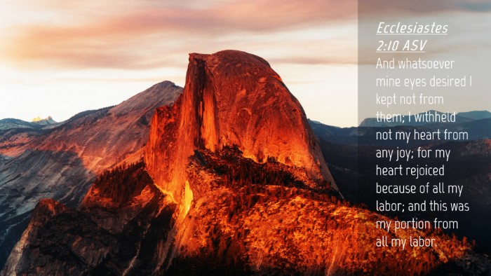 Picture 04 - Ecclesiastes 2:10 ASV Desktop Wallpaper - And whatsoever mine eyes desired I kept not from - Desktop Bible Verse Wallpaper