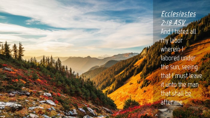 Picture 04 - Ecclesiastes 2:18 ASV Desktop Wallpaper - And I hated all my labor wherein I labored under - Desktop Bible Verse Wallpaper