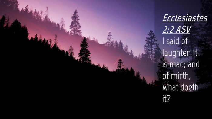 Picture 04 - Ecclesiastes 2:2 ASV Desktop Wallpaper - I said of laughter, It is mad; and of mirth, What - Desktop Bible Verse Wallpaper