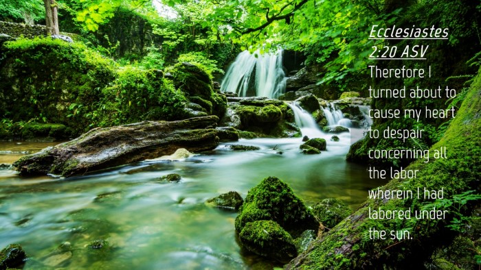Picture 04 - Ecclesiastes 2:20 ASV Desktop Wallpaper - Therefore I turned about to cause my heart to - Desktop Bible Verse Wallpaper