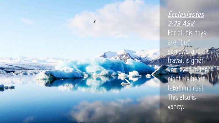 Picture 04 - Ecclesiastes 2:23 ASV Desktop Wallpaper - For all his days are `but' sorrows, and his - Desktop Bible Verse Wallpaper