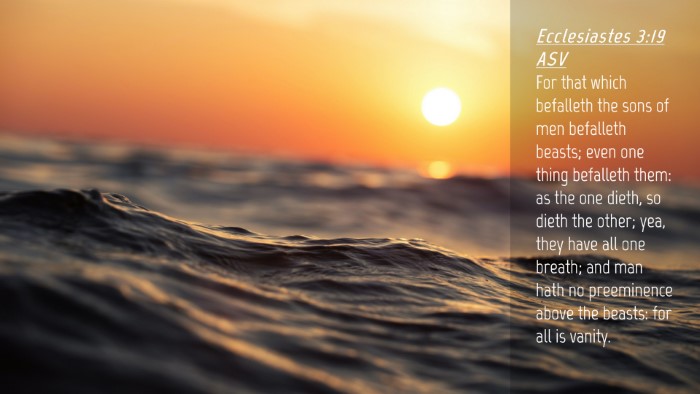 Picture 04 - Ecclesiastes 3:19 ASV Desktop Wallpaper - For that which befalleth the sons of men - Desktop Bible Verse Wallpaper