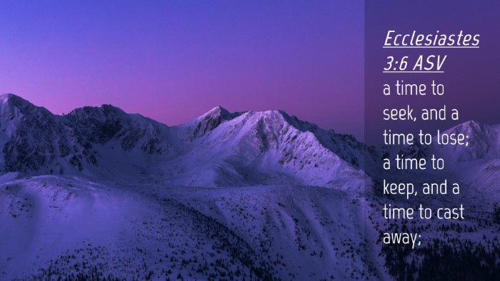 Picture 04 - Ecclesiastes 3:6 ASV Desktop Wallpaper - a time to seek, and a time to lose; a time to - Desktop Bible Verse Wallpaper
