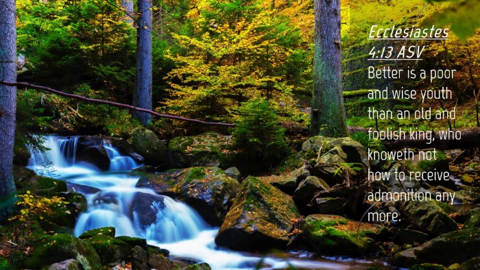 Picture 04 - Ecclesiastes 4:13 ASV Desktop Wallpaper - Better is a poor and wise youth than an old and - Desktop Bible Verse Wallpaper