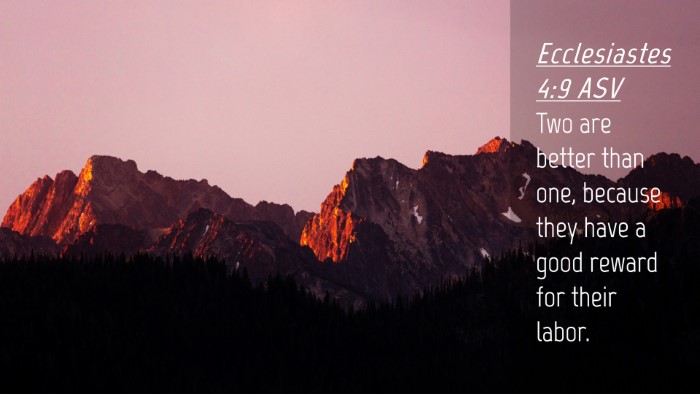 Picture 04 - Ecclesiastes 4:9 ASV Desktop Wallpaper - Two are better than one, because they have a good - Desktop Bible Verse Wallpaper