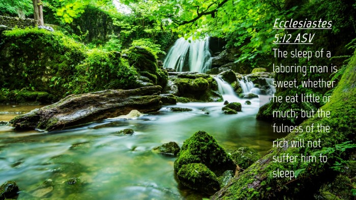 Picture 04 - Ecclesiastes 5:12 ASV Desktop Wallpaper - The sleep of a laboring man is sweet, whether he - Desktop Bible Verse Wallpaper