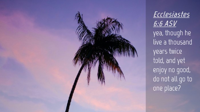 Picture 04 - Ecclesiastes 6:6 ASV Desktop Wallpaper - yea, though he live a thousand years twice told, - Desktop Bible Verse Wallpaper