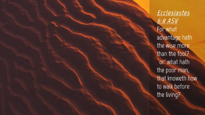 Picture 04 - Ecclesiastes 6:8 ASV Desktop Wallpaper - For what advantage hath the wise more than the - Desktop Bible Verse Wallpaper