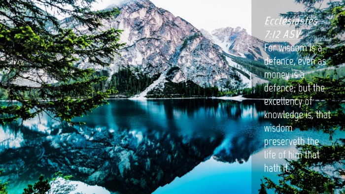 Picture 04 - Ecclesiastes 7:12 ASV Desktop Wallpaper - For wisdom is a defence, even as money is a - Desktop Bible Verse Wallpaper
