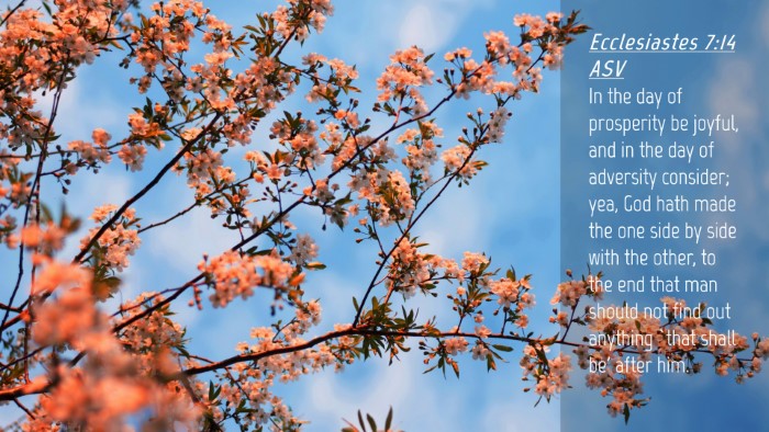 Picture 04 - Ecclesiastes 7:14 ASV Desktop Wallpaper - In the day of prosperity be joyful, and in the - Desktop Bible Verse Wallpaper