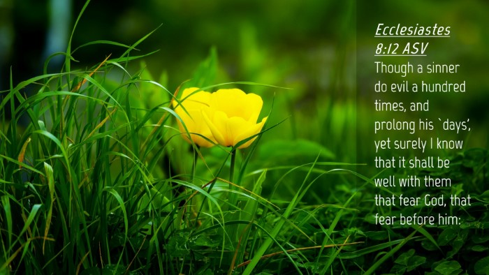 Picture 04 - Ecclesiastes 8:12 ASV Desktop Wallpaper - Though a sinner do evil a hundred times, and - Desktop Bible Verse Wallpaper