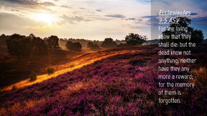 Picture 04 - Ecclesiastes 9:5 ASV Desktop Wallpaper - For the living know that they shall die: but the - Desktop Bible Verse Wallpaper