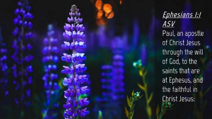 Picture 04 - Ephesians 1:1 ASV Desktop Wallpaper - Paul, an apostle of Christ Jesus through the will - Desktop Bible Verse Wallpaper