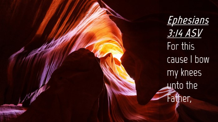 Picture 04 - Ephesians 3:14 ASV Desktop Wallpaper - For this cause I bow my knees unto the - Desktop Bible Verse Wallpaper