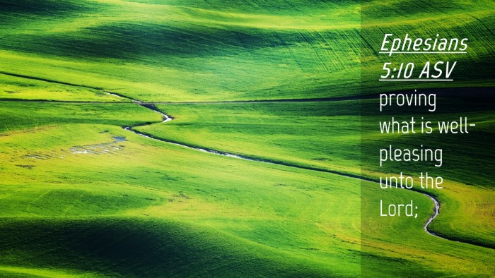 Picture 04 - Ephesians 5:10 ASV Desktop Wallpaper - proving what is well-pleasing unto the - Desktop Bible Verse Wallpaper