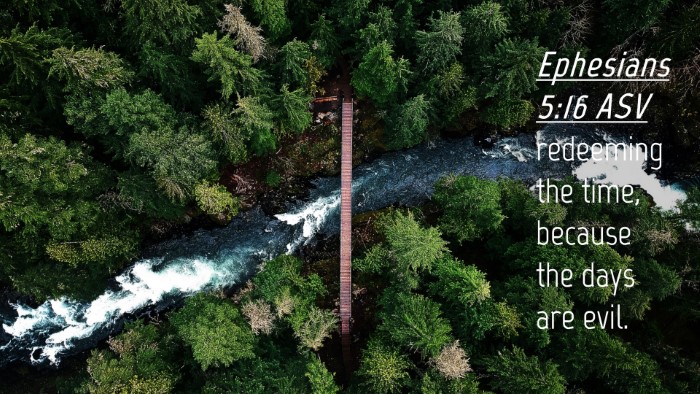 Picture 04 - Ephesians 5:16 ASV Desktop Wallpaper - redeeming the time, because the days are - Desktop Bible Verse Wallpaper